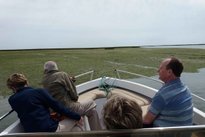 Faro: Rejs wycieczkowy po Ria Formosa