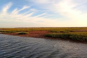Faro: Rejs wycieczkowy po Ria Formosa