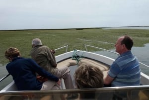 Faro: Ria Formosa Boat Tour