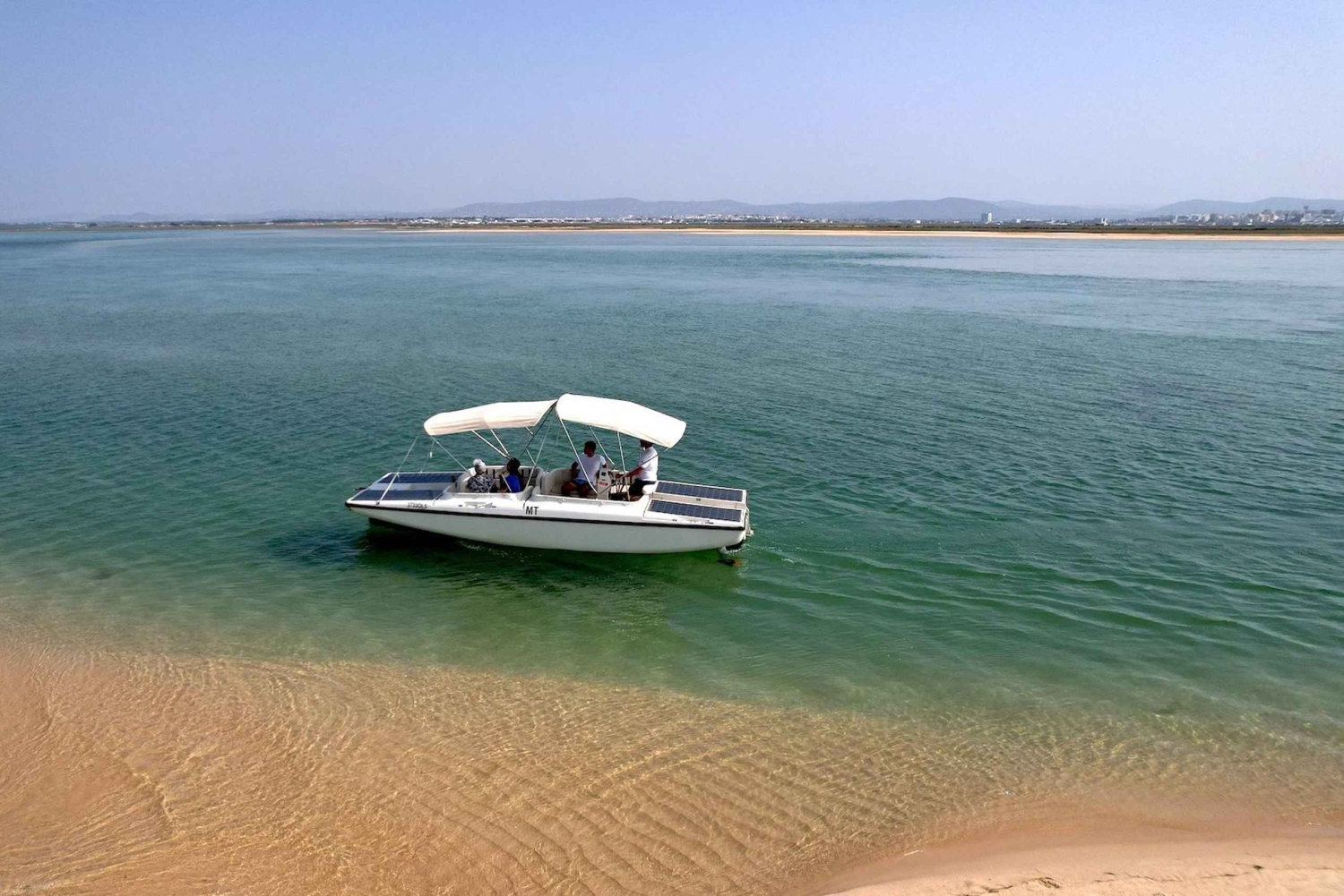 Faro: Ria Formosa Eco Birdwatching Boat Tour