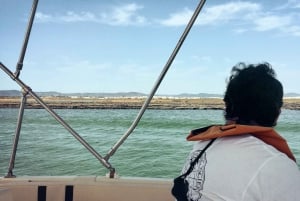 Faro: Ria Formosa Eco Birdwatching Boat Tour