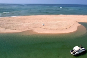 Faro: Ria Formosa Eco Birdwatching Boat Tour