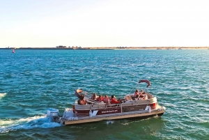 Faro: Ria Formosa Faro Islands Catamaran Tour