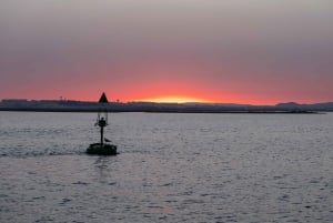 Faro: Ria Formosa: Opastettu auringonlaskun kierros katamaraanilla