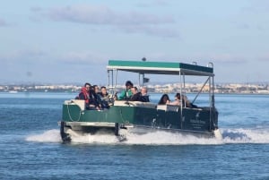 Faro: Ria Formosa Guided Sunset Tour by Catamaran