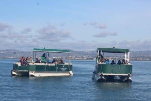 Faro: Ria Formosa Rondleiding bij zonsondergang per Catamaran