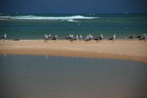 Faro: Ria Formosa Rondleiding bij zonsondergang per Catamaran