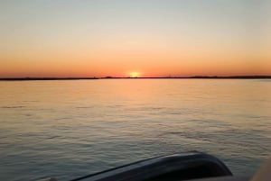 Faro: Ria Formosa Guided Sunset Tour by Catamaran