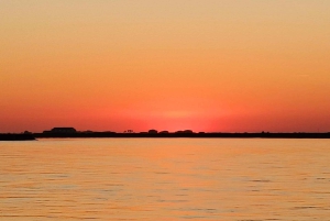 Faro: Ria Formosa Guided Sunset Tour by Catamaran