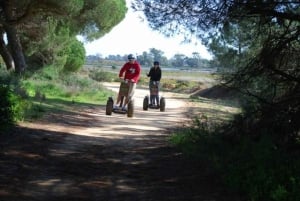 Faro: Tour in Segway nel Parco Naturale di Ria Formosa e birdwatching