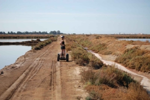 Faro: Tour in Segway nel Parco Naturale di Ria Formosa e birdwatching