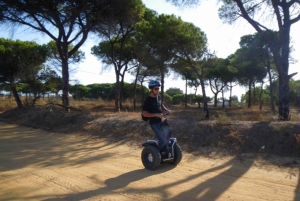 Faro: Tour in Segway nel Parco Naturale di Ria Formosa e birdwatching