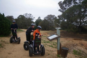 Faro: Tour in Segway nel Parco Naturale di Ria Formosa e birdwatching
