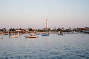 Faro: Ria Formosa Sunset Boat Tour