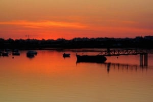 From Faro: Ria Formosa Sunset Boat Trip