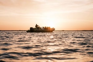 Faro: tour in barca al tramonto nella natura di Ria Formosa