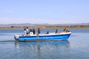 Faro: Ria Formosa – båttur till de tre stora öarna