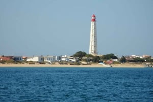 Faro: Ria Formosa – båttur till de tre stora öarna
