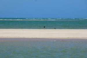 Faro: Ria Formosa – båttur till de tre stora öarna