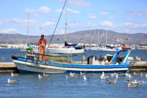 Faro: Ria Formosa – båttur till de tre stora öarna