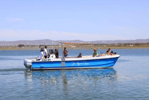 Faro: Ria Formosa - Il tour in barca delle 3 isole