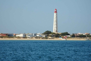 Faro: Ria Formosa - Il tour in barca delle 3 isole