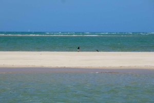Faro: Ria Formosa - Il tour in barca delle 3 isole