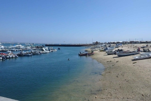 Faro: Ria Formosa - Il tour in barca delle 3 isole
