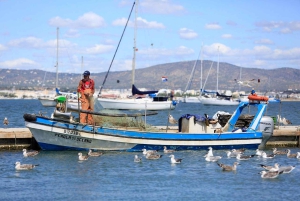 Faro: Ria Formosa - Il tour in barca delle 3 isole