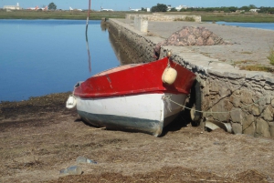 Faro: Self-Guided Discovery Walk