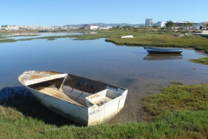 Faro: Self-Guided Discovery Walk