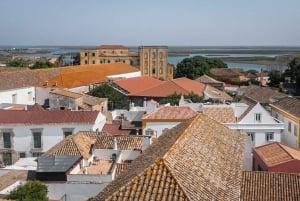 Faro: Flexible Walking Tour in Historic Center