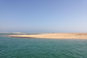 Faro: Speed Boat Tour