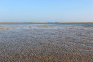 Faro: Speed Boat Tour