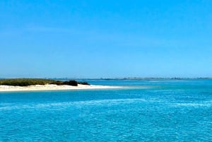 Faro: Speedboot Tour