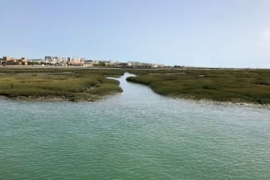 Faro: Speedboot Tour