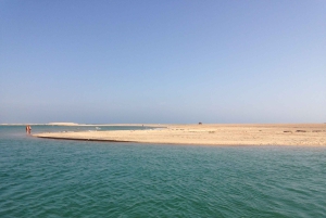 Faro: Speedboot Tour