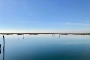 Faro: Speedboot Tour