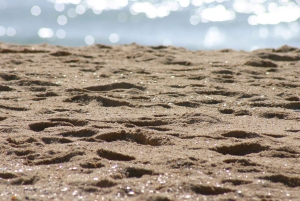 Faro: Speedboot Tour