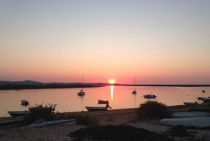 Faro: Speedboot Tour