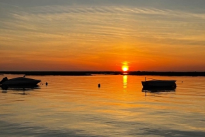 Faro: Speedboot Tour