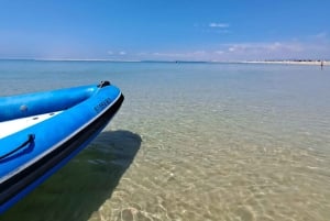 Faro: Speedboot Tour