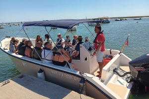 Faro : Excursion en bateau d'une heure au coucher du soleil sur la Ria Formosa