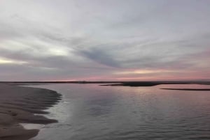 Faro: Excursión de 1 hora en barco por la Ría Formosa al atardecer