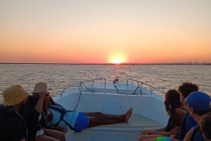 Faro: Excursión de 1 hora en barco por la Ría Formosa al atardecer