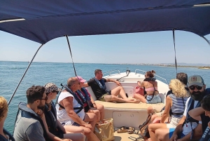 Faro: Excursión de 1 hora en barco por la Ría Formosa al atardecer