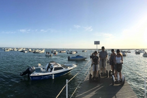 Faro: tour in Segway al tramonto con cocktail