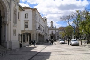 Faro: tour in Segway al tramonto con cocktail