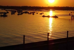 Faro: Sunset Segway Tour with Cocktails