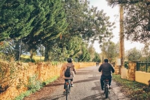 Ferragudo i Carvoeiro: Prywatna wycieczka e-rowerem